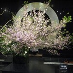 トゥールダルジャン - 