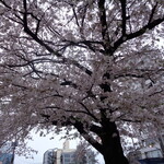 一〇そば - 雨と風がなければね～