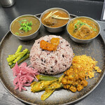 Curry Spice Gelateria KALPASI - 