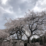 西武秩父駅前温泉 祭の湯 - 桜を見た帰りに温泉。最高でした。