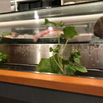 和食かっぽれ - 