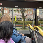 MoeGiKURiYA - モーニング桜ドライブ（＾∇＾）