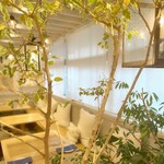 トラットリア サンタルチア - 