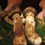 舞桜 - 松茸一本焼！