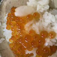 料亭 能登新 - 