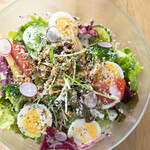 Marutomi Garden Salad