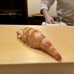 鮨 はしもと - 喜界島の車海老　養殖
      この位のサイズが私の好み、甘みがあります。