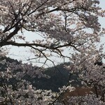 柿の葉すし ひょうたろう - 