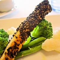 ブラッスリー ポール・ボキューズ 銀座 - 胡麻を纏った鶏胸肉　ノワイリー酒の香るマッシュルームソース。