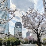 とらや - 赤坂サカスの桜