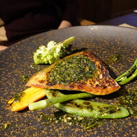 タケル クインディチ(LOQUAT) 西伊豆 - 