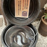 入谷鬼子母神門前のだや - 
