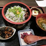 茅ヶ崎 海ぶね - ランチしらす丼