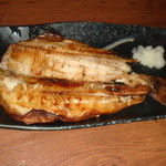 くおくお。 - 魚