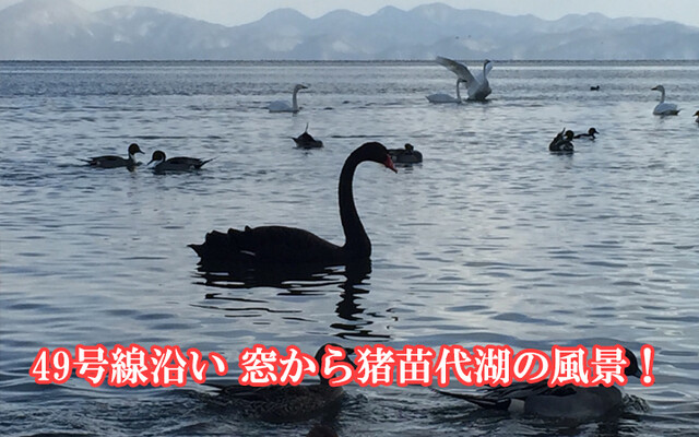 中国料理 西湖 - 翁島（中華料理）の写真