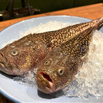 シンシア ブルー - 