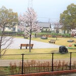 marblecaffe - 店内から公園が一望