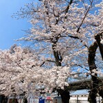 Asahiya - 駅前の桜も満開♡