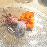 La Brianza - ぼたん海老軽い炭火焼き赤玉ねぎのソース柚子の泡。エビ味噌の味わいがおいしく甘くてたまらない♡ 殻があまり硬くなくて食べられそうと食べ出したら、殻までまるっと全部いただいちゃいました～(≧∇≦)b