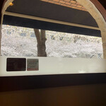 レグリエ - 窓際の席。まさかセリエで花見できるとは思わなんだ。めっちゃ良いタイミングできた