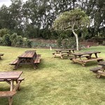 Green World Coffee Farm - 