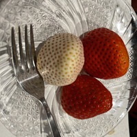 奈良きみや 別邸 柘榴 - 