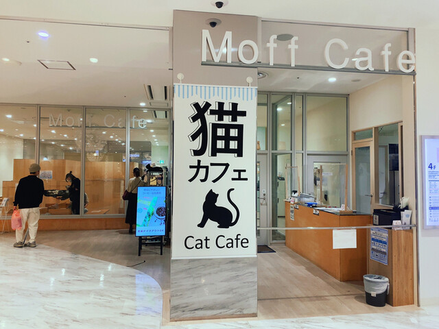 モフアニマルカフェ 高崎オーパ店 Moff Animal Cafe 高崎 jr その他 食べログ モフアニマルカフェ 高崎オーパ店 Moff Animal Cafe 高崎 jr その他 食べログ