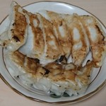 餃子専門ハファダイ - 餃子2人前480円