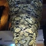 Hacienda del cielo MODERN MEXICANO - 