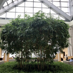 ピーク・ラウンジ - 