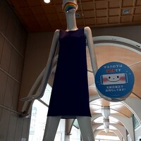 いけす 鶴八 名駅 はなれ - ななちゃん