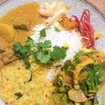 スパイス計画 - 贅沢なカレープレート♪