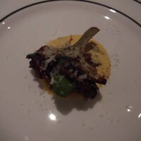 SALONE 2007 - カルチョーフィアッラジュディア（2021.3）