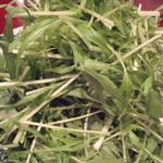 さんだ - はりはり