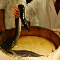 うなぎ時任 - 鰻。