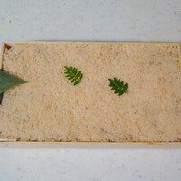 日本橋蛎殻町 すぎた - 持ち帰り：ばらちらし