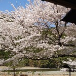 くつきそば 永昌庵 - 