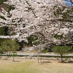 くつきそば 永昌庵 - 
