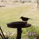 くつきそば 永昌庵 - 