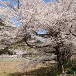 くつきそば 永昌庵 - 