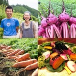 新鮮「木の里農園」の焼き野菜サラダ