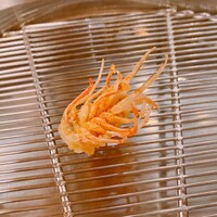 てんぷら 山の上 Roppongi 東京ミッドタウン店 - 