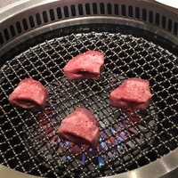 niku no OTO - 