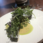 ル スプートニク - 