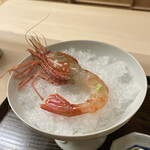 片折 - 新湊ぼたん海老