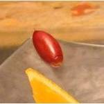 タパス モラキュラーバー - 