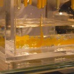 タパス モラキュラーバー - 