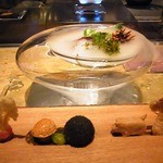 タパス モラキュラーバー - 