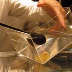 タパス モラキュラーバー - 