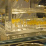 タパス モラキュラーバー - 